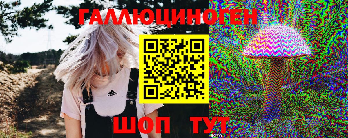 Галлюциногенные грибы Psilocybe Котельники