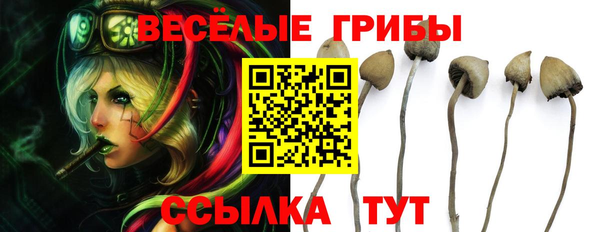 Псилоцибиновые грибы прущие грибы  Вход с VPN  наркотики  Котельники 